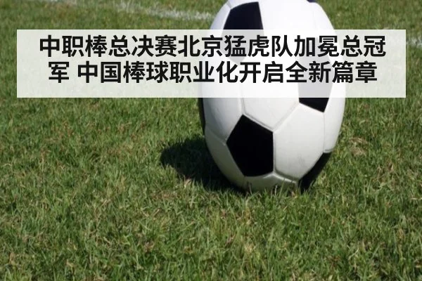 中职棒总决赛北京猛虎队加冕总冠军 中国棒球职业化开启全新篇章