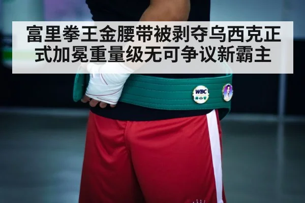 富里拳王金腰带被剥夺乌西克正式加冕重量级无可争议新霸主